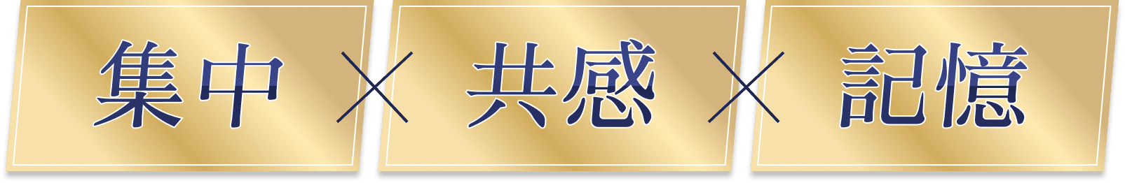 集中×共感×記憶